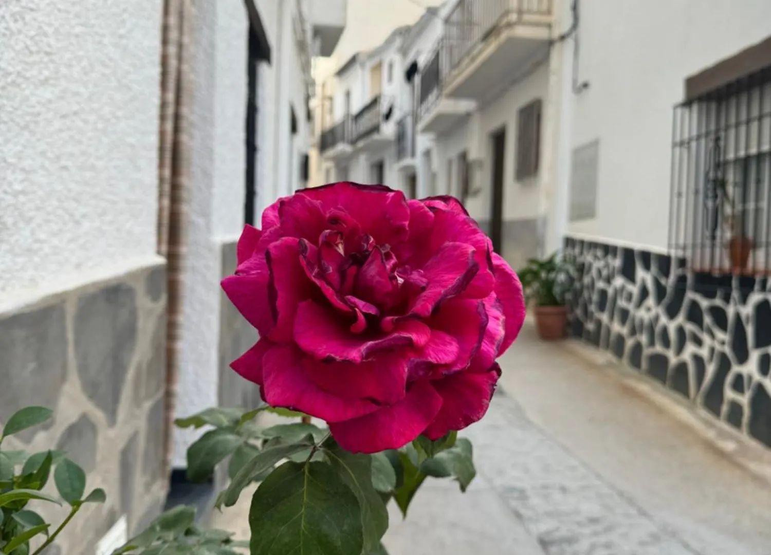 Apartamento Rural Julio Trevélez